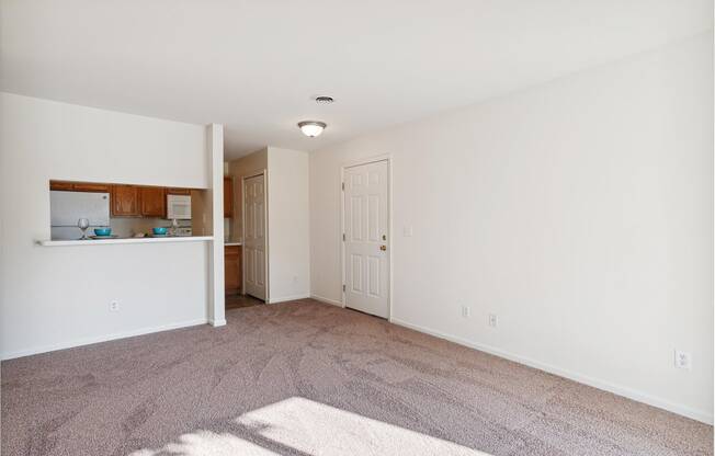 Spacious Living Area with Carpet