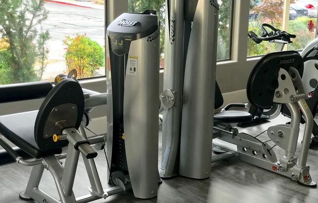 Gym Equipment