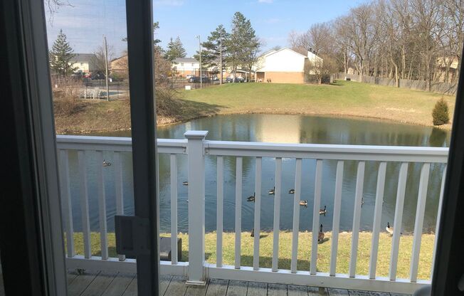 1 bed, 1 bath, 755 sqft, $1,080, Unit 5728H