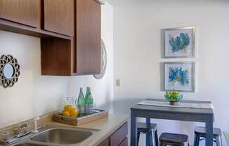 Sink And Faucet at Knollwood Towers East Apartments, Hopkins, MN, 55343