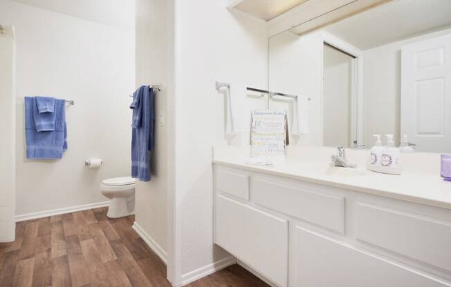One-Bedroom Apartments in Thousand Oaks CA - The Knolls Spacious Bathroom with a Large Vanity, Modern Light Fixtures, Shower, and Much More