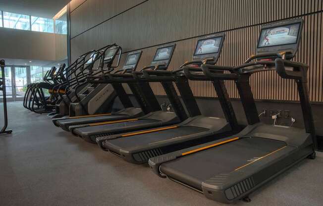 A row of treadmills are lined up in a gym.