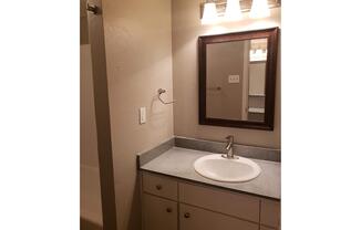 a white sink sitting under a mirror