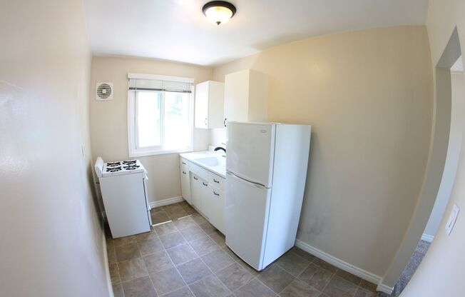 Studio, 1 bath, 275 sqft, $1,699, Unit 5