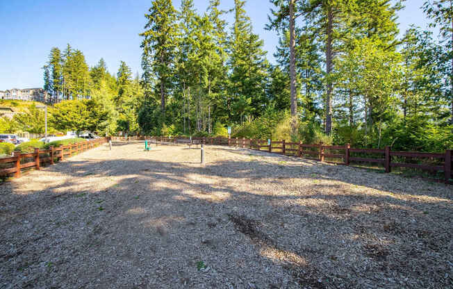 A gravel area surrounded by trees and a fence.
