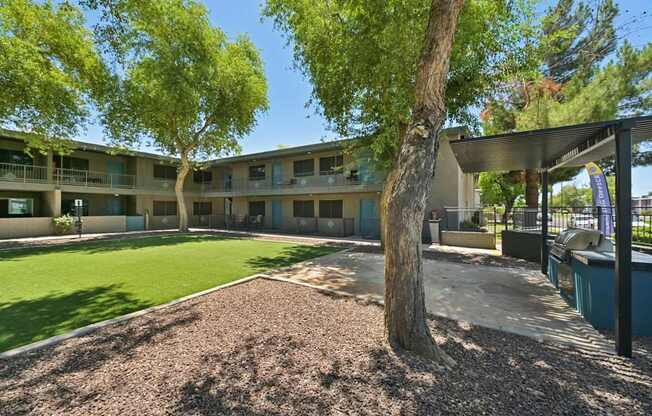 A tree in front of a building with a blue sky in the background.