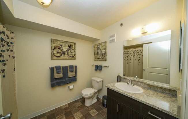 Large Bathrooms at Andover Pointe Apartment Homes, La Vista, NE
