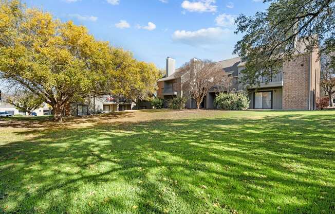 A tree with yellow leaves is in front of a building.