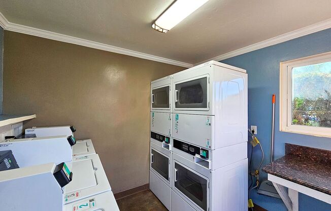 Studio, 1 bath, $1,495, Unit 41