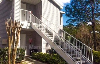 2504 GRASSY POINT DRIVE