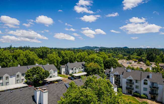 an aerial view of a neighborhood with green trees and a blue sky