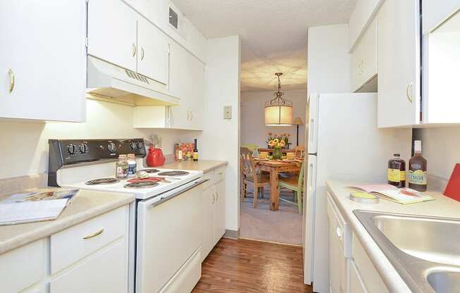 Classic Apartment Kitchen Style