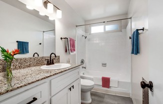 a bathroom with a sink and a toilet