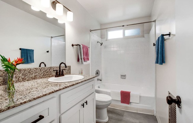 a bathroom with a sink and a toilet