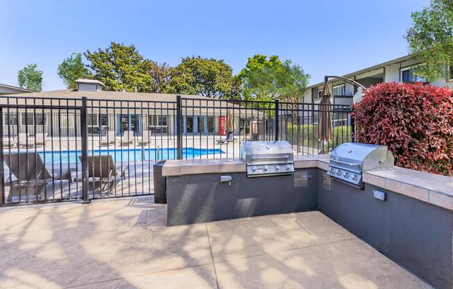 a group of palm trees and a fence