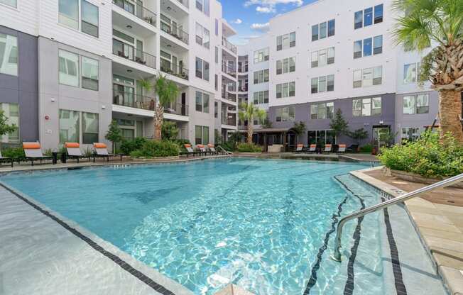 Swimming pool with palm tree and lounge seating at Harlow River Oaks in Houston, TX