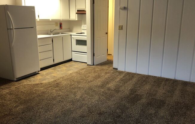 1 bed, 1 bath, 420 sqft, $585, Unit 82726