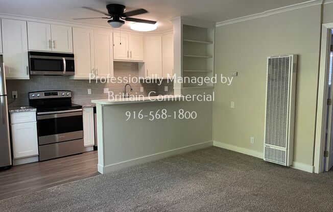 1 bed, 1 bath, $1,595