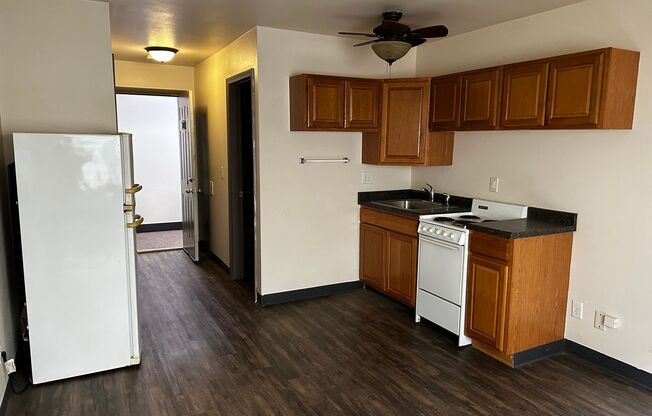 Studio, 1 bath, 525 sqft, $695, Unit 107