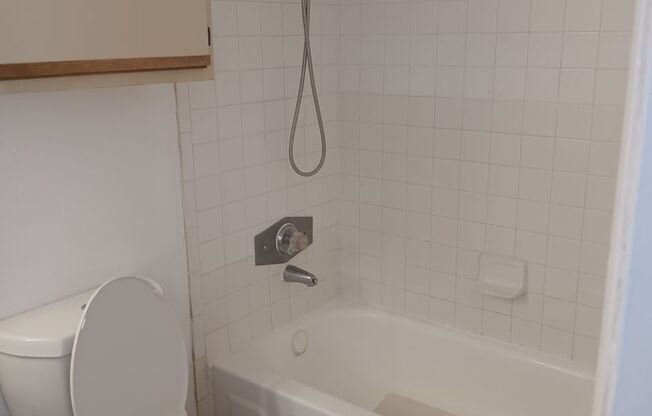 1 bed, 1 bath, $1,300