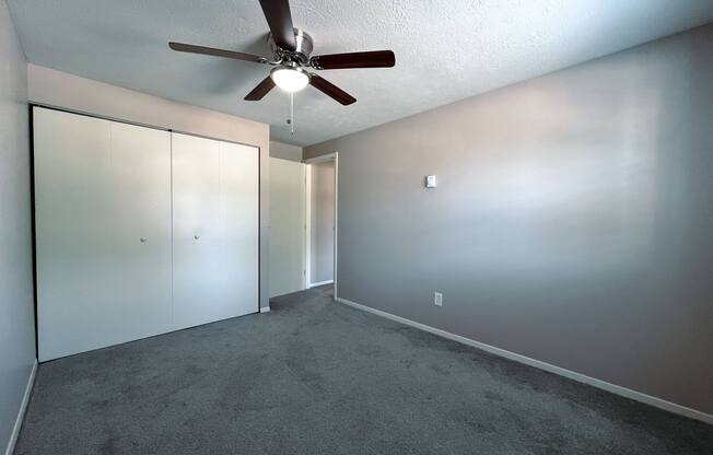 the living room has a ceiling fan and a carpet