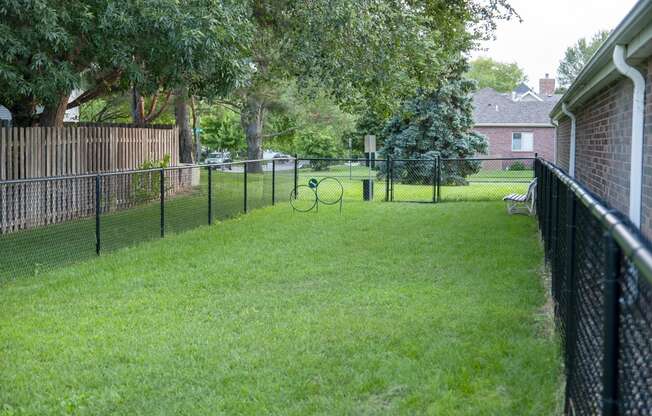Gated Dog Park with Dog Hoops