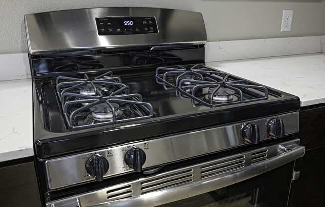 Stainless Gas Stove