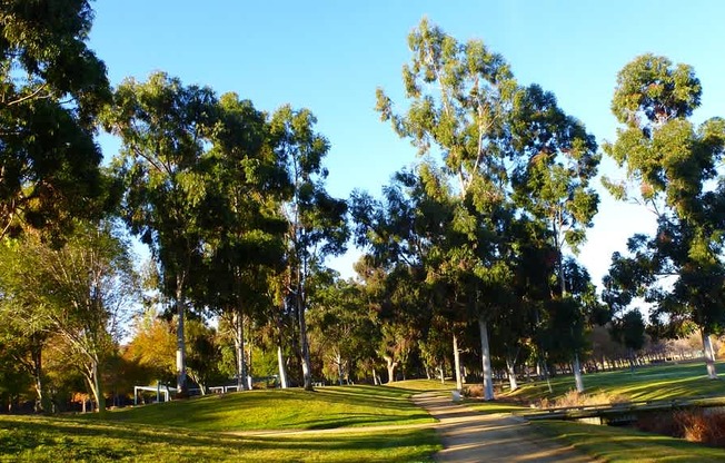 a park with trees and a sidewalk