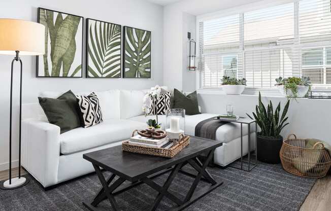 a living room with a white couch and black and white decor