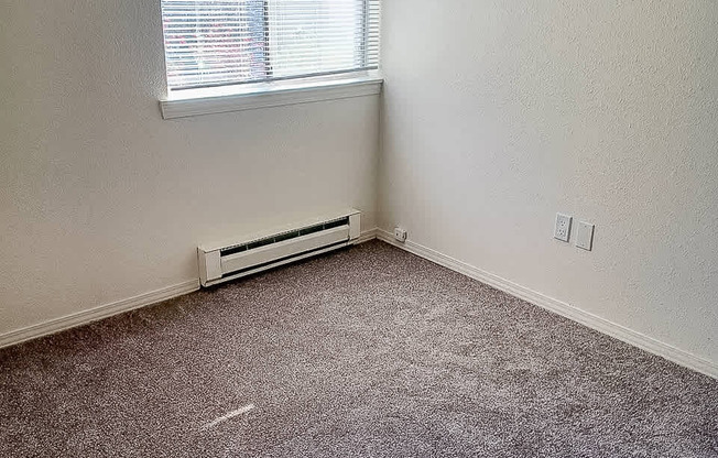 A room with a window and a carpeted floor.