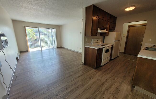 1 bed, 1 bath, 900 sqft, $700, Unit 305