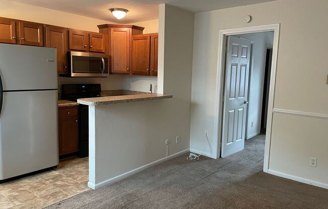 1 bed, 1 bath, $925