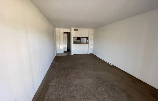 Studio, 1 bath, 481 sqft, $1,031.25, Unit Unit 20