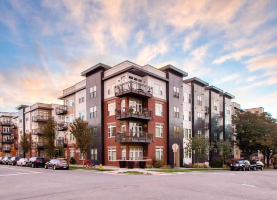 Centric LoHi by Windsor