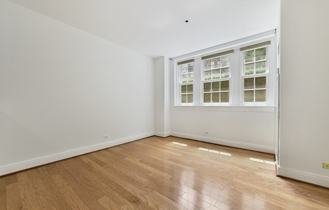 1 bed, 1 bath, 494 sqft, $2,700, Unit 103