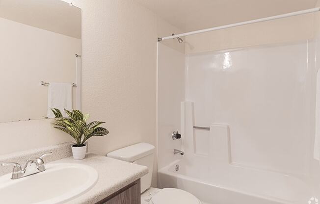 Ashford Park bathroom with single vanity and full shower and tub