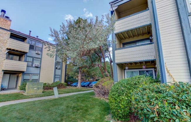 1 Bedroom 1 Bathroom Beautifully Updated Washer/Dryer In Unit