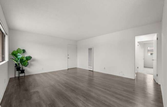 Contemporary features