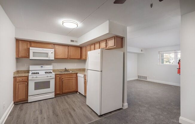 Kitchen (1BR,1BA 675SF)