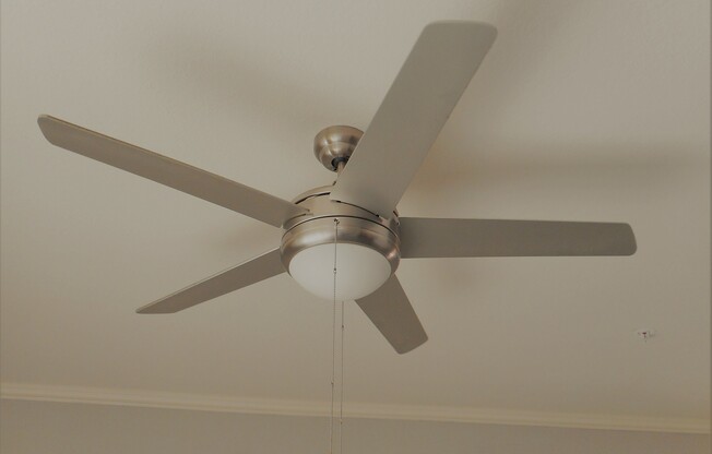 Ceiling Fan in all Rooms