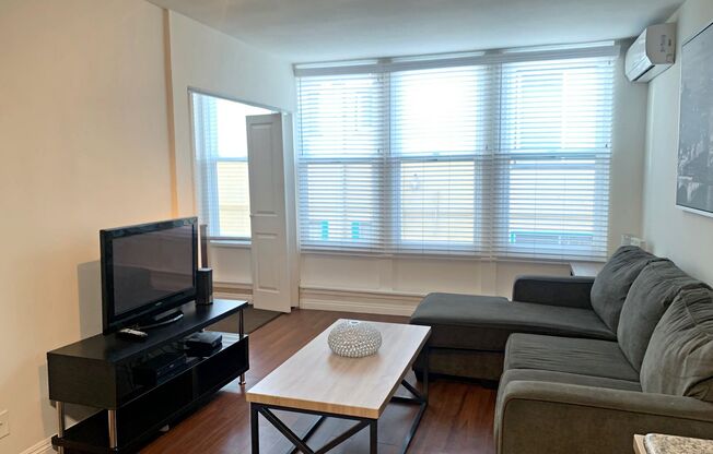 1 bed, 1 bath, 500 sqft, $1,895, Unit 209