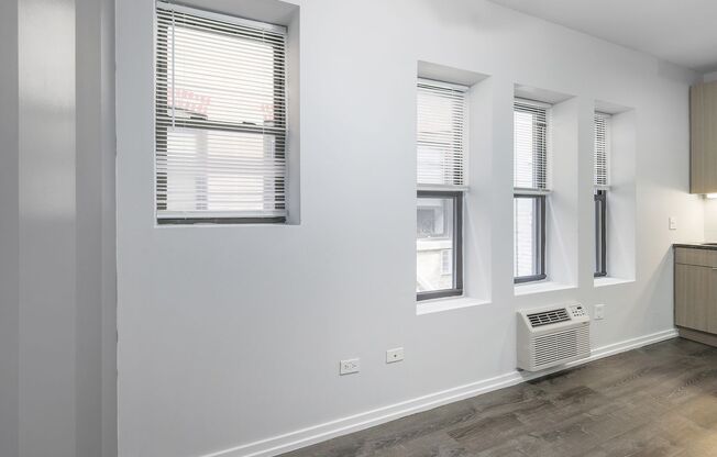 Studio, 1 bath, 201 sqft, $1,250, Unit 213