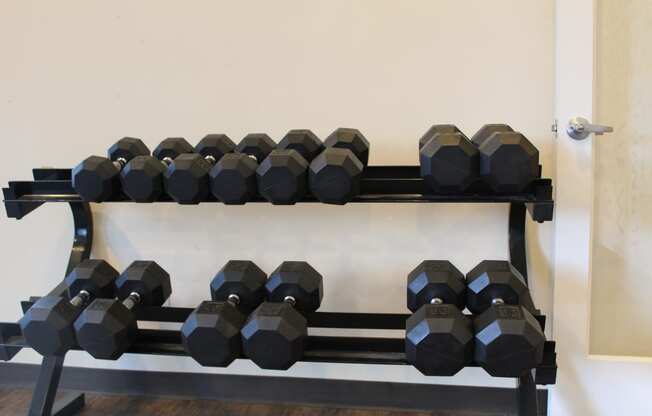 a rack of dumbbells in a gym