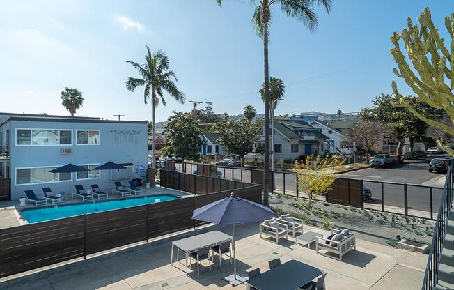 a group of palm trees and a fence