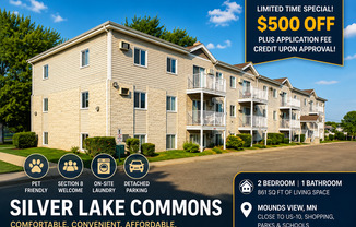 Silver Lake Commons
