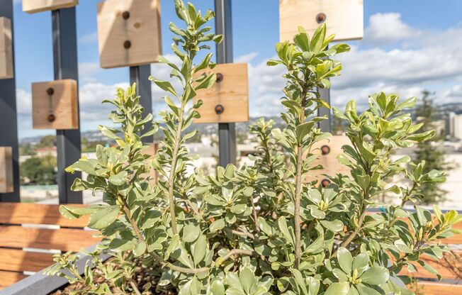 2 beds, 2 baths, 1,156 sqft, $3,891, Unit 303