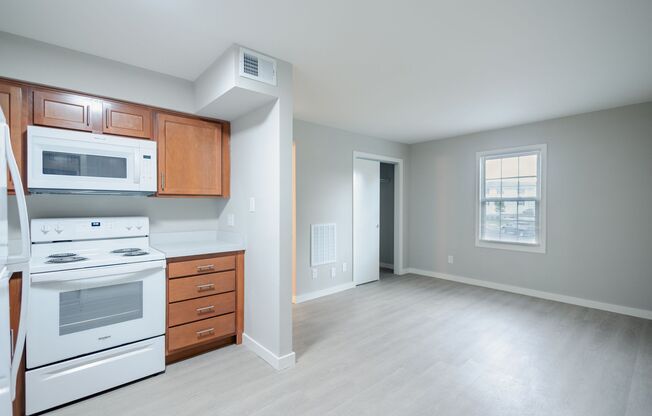 1 bed, 1 bath, 467 sqft, $1,095, Unit 4210