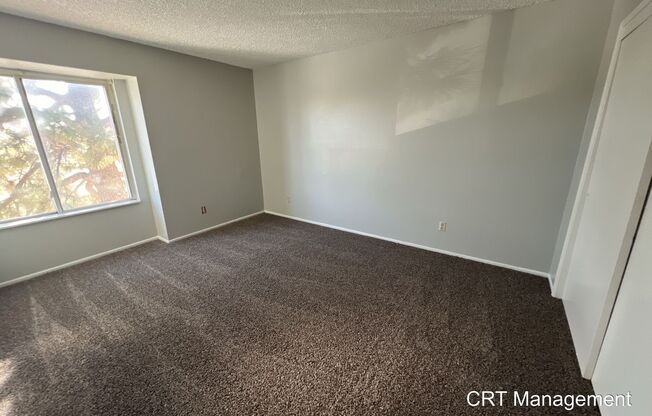 2 beds, 1 bath, $1,295, Unit # 337