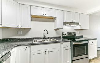Modern kitchen with sleek white cabinetry, stainless steel appliances, and a stylish black countertop.