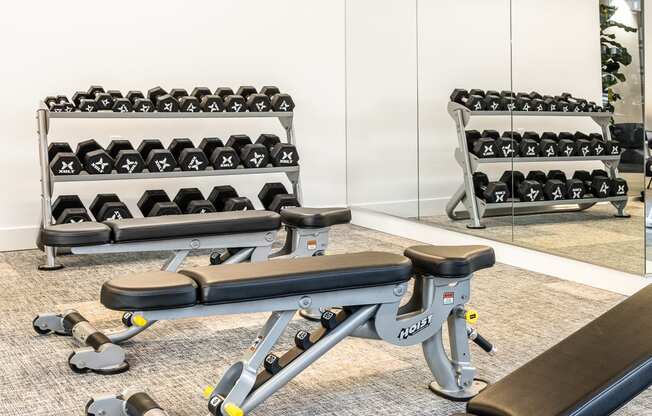 a row of weights machines in a gym